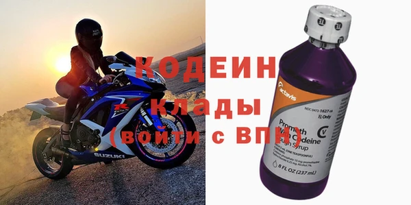 гидра Каменка
