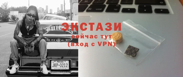 гидра Каменка