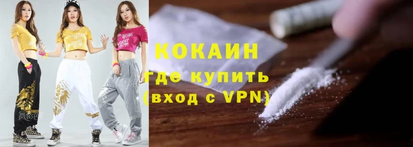гидра Каменка