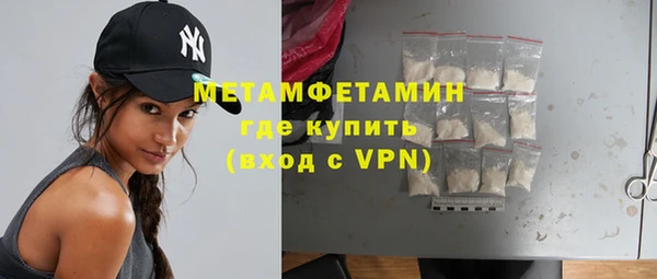 гидра Каменка
