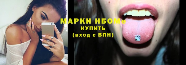 гидра Каменка