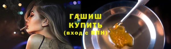 гидра Каменка