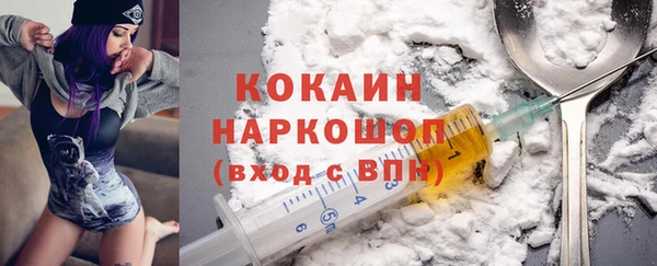 гидра Каменка