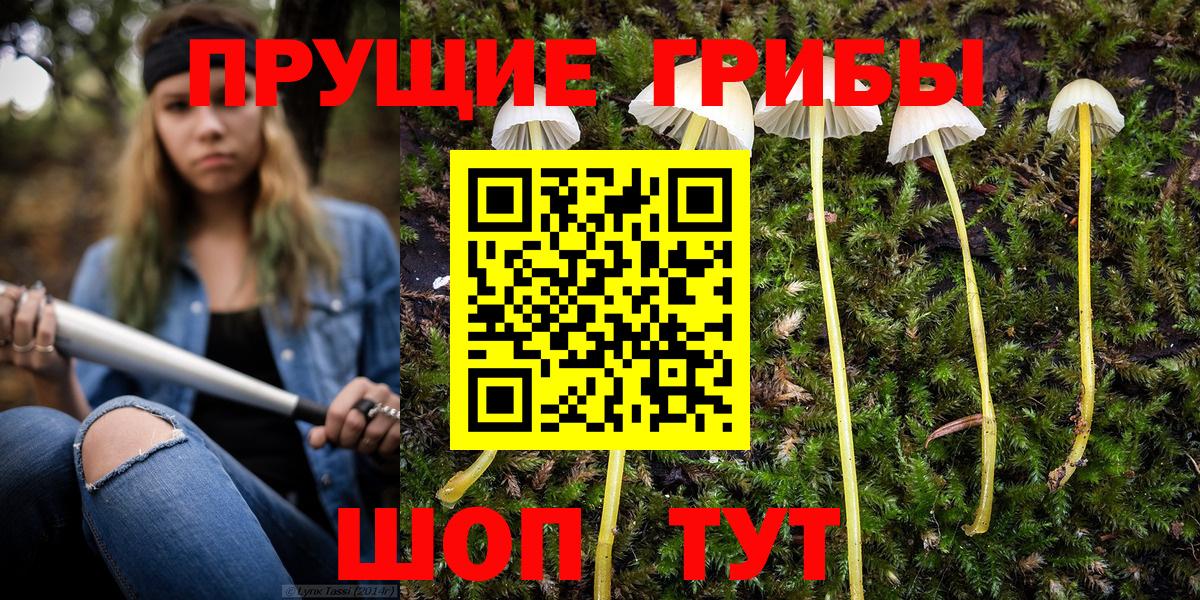 Галлюциногенные грибы Magic Shrooms Кашира