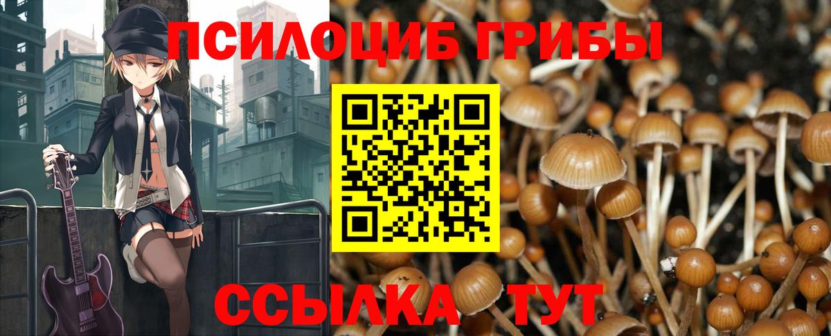Галлюциногенные грибы мухоморы  Галлюциногенные грибы Psilocybine cubensis  Вход с VPN  Кашира 